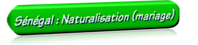 button151_Sen-Natur-Mariage.png