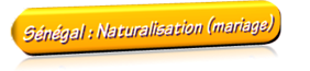 button152_Sen-Natur-Mariage.png